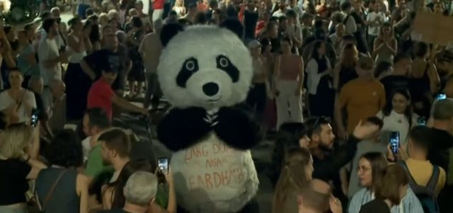 VIDEOLAJM/ Panda shfaqet n&euml; protest&euml;n e 40-t&euml; me mesazhin: Larg