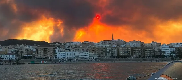 12 viktima dhe shum&euml; t&euml; zhdukur nga zjarret n&euml; Spanj&euml;,