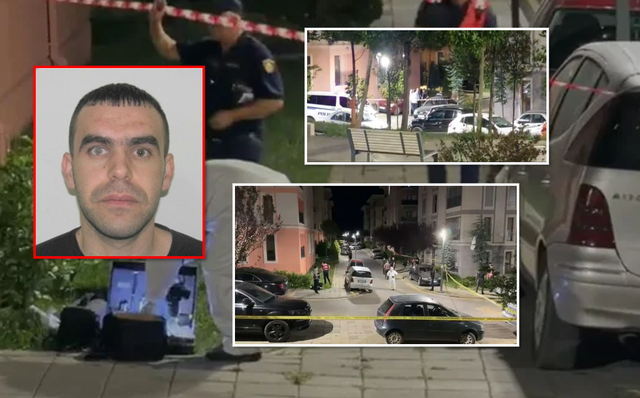 Vrasja e Ilir Gjinit, Policia gjen nj&euml; pistolet&euml; t&euml; dyt&euml;