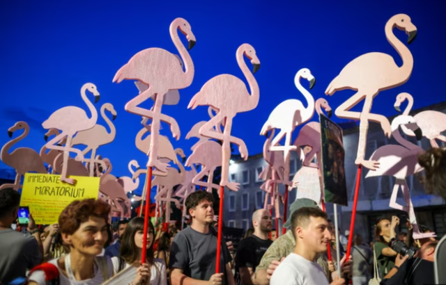 Nga rruga n&euml; Google/ Analiza: Si u kthyen vler&euml;simet online n&euml;