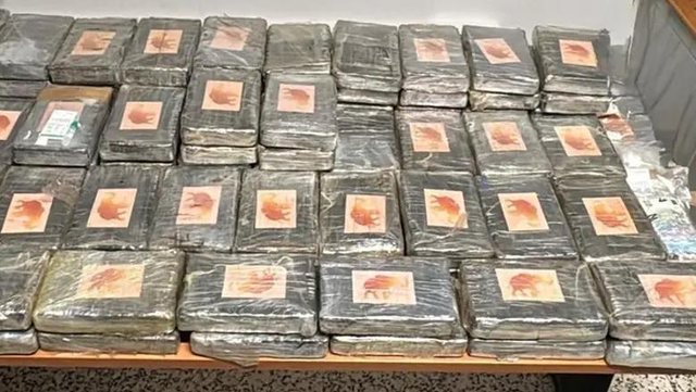 Po trafikonin 111 kilogram&euml; kokain&euml; me kamion, arrestohen 2