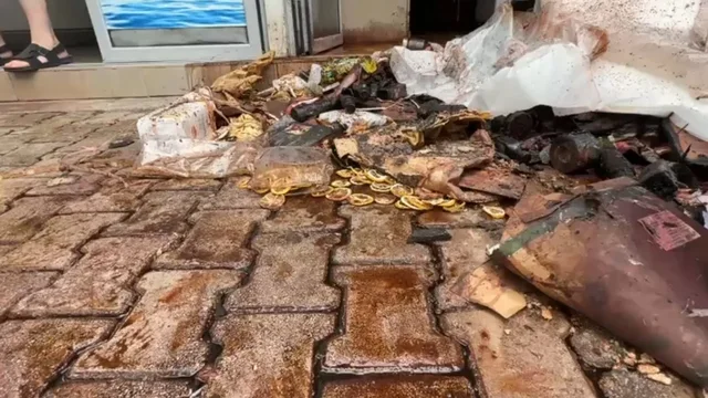 Zjarr n&euml; qend&euml;r t&euml; Elbasanit/ Flak&euml;t p&euml;rfshijn&euml;