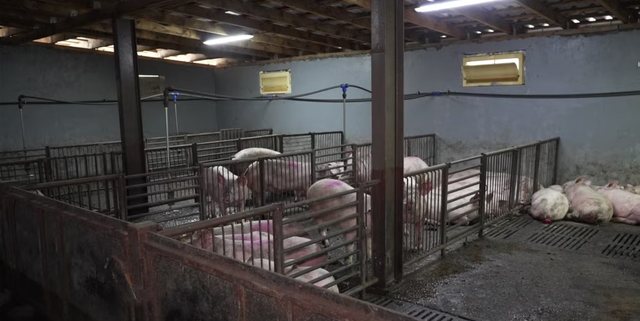 Serbia shpall gjendje t&euml; jasht&euml;zakonshme n&euml; pjes&euml; t&euml;