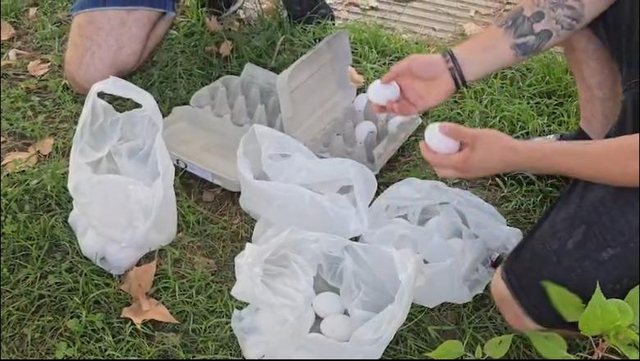 “Nuk na përfaqësoni”/ Revoltë qytetare jashtë
