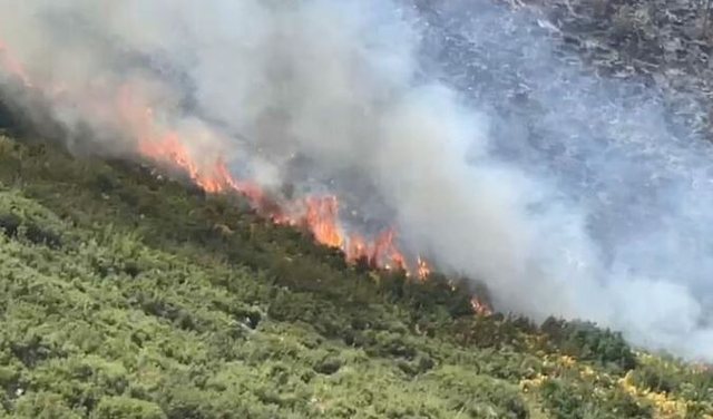 Situat&euml; kritike n&euml; Iball&euml;/ Zjarri "pushton" pyjet,