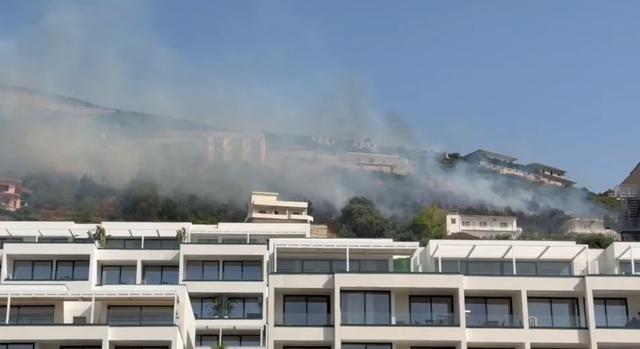 VIDEO/Bie zjarr&nbsp;n&euml; zon&euml;n e Ujit t&euml; Ftoht&euml;, flak&euml;t