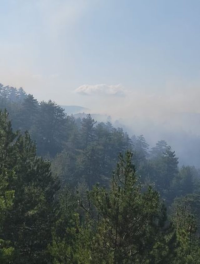 FOTO/ Zjarr në Voskopojë, flakët përfshijnë zonën
