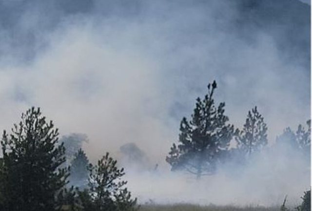 FOTO/ Zjarr n&euml; Voskopoj&euml;, flak&euml;t p&euml;rfshijn&euml; zon&euml;n