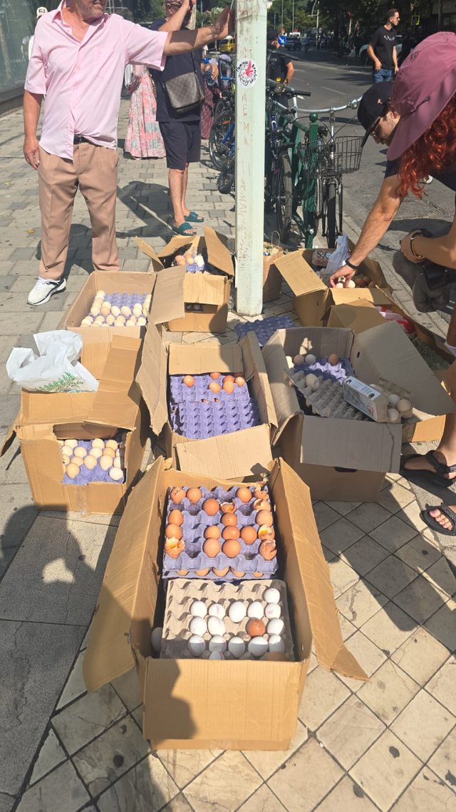 Kaos para Kuvendit/ Qytetar&euml;t hedhin vez&euml;, policia p&euml;rgjigjet