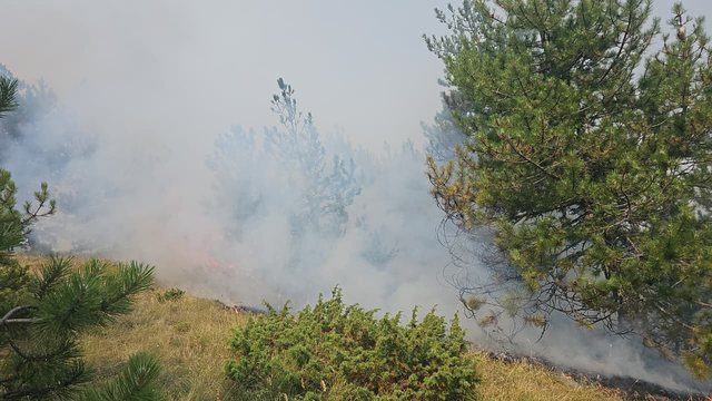 Riaktivizohet zjarri mes Lekasit dhe Voskopoj&euml;s, flak&euml;t