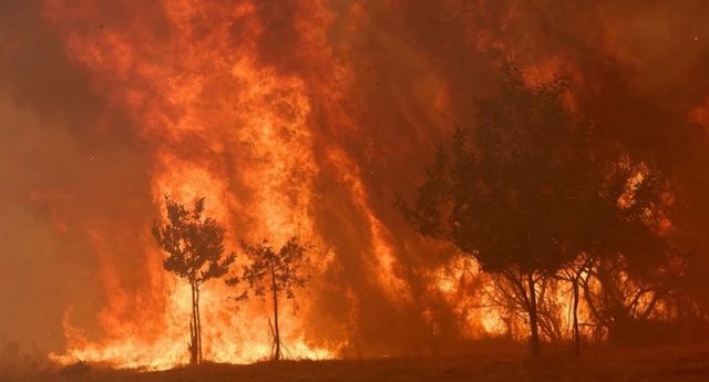 Evropa p&euml;rfshihet nga flak&euml;t, shkenc&euml;tar&euml;t japin alarmin: Po