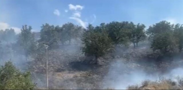Zjarri p&euml;rfshin Pilurin, vijon beteja me flak&euml;t edhe n&euml; Parkun e