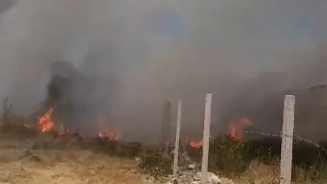 Zjarr n&euml; periferi t&euml; Vlor&euml;s/ Era dhe temperaturat e larta