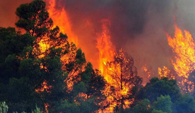 Shqipëria nën pushtetin e flakëve, shkrumbohen 130 hektarë