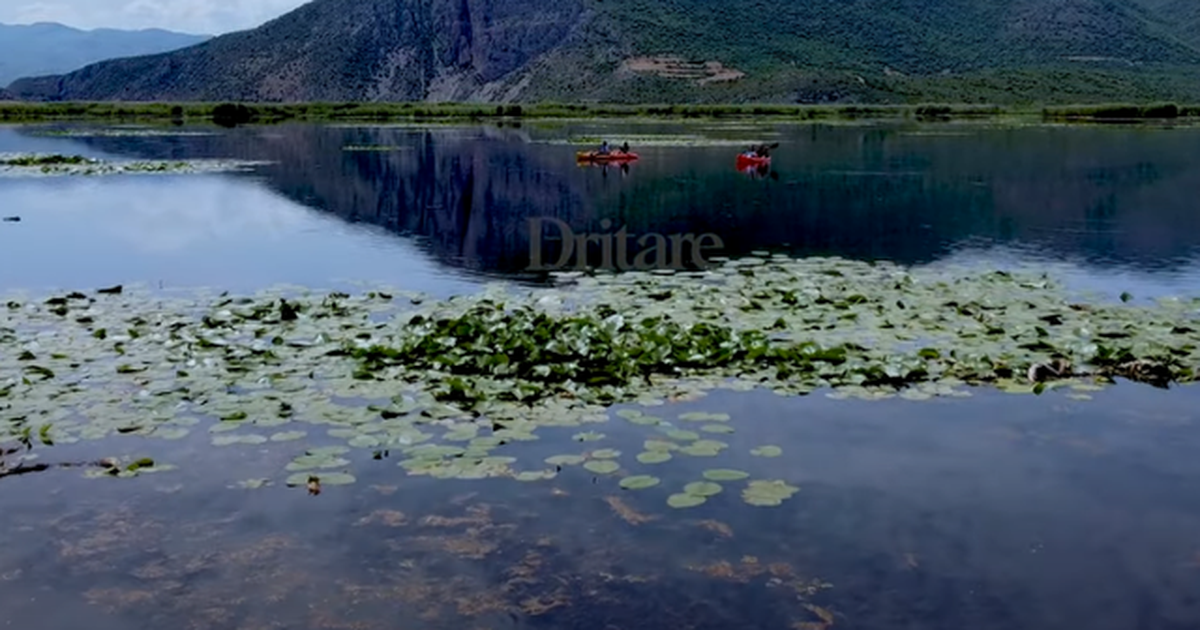 Prespa e Vogël  udhëtim në zemrën e xhunglës shqiptare