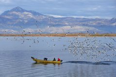 Liqeni i Shkodr&euml;s shpallet Rezerv&euml; Biosfere e UNESCO-s