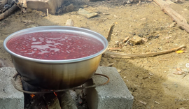 Rehania e thanës, thesari i vogël që ruan kujtesën e trojeve