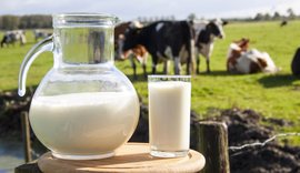 Fermerët kundër TVSH-së së re: Skema favorizon importet, jo