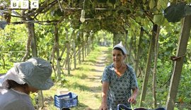 BBC: Si po ringjallet kuzhina shqiptare falë gjysheve