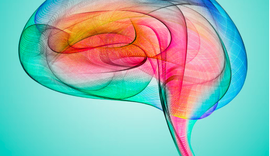 Si ta mbash trurin e shëndetshëm!