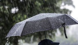 Keni plane për fundjavë? Ja si do të jetë moti!