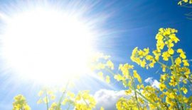 Sot mot i kthjellët!