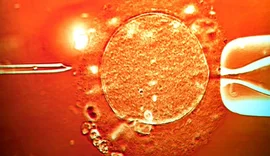 Skandali gjenetik që tronditi Europën. Qindra fëmijë në