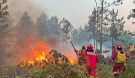 Nis kompensimi p&euml;r d&euml;met nga zjarret, 191.5 milion&euml; lek&euml;