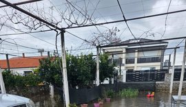 Kush &euml;sht&euml; fajtori?! Pjerin Ndreu akuzon