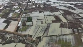 Paralajm&euml;rimi i inxhinierit: Ose hiqini sht&euml;pit&euml; n&euml; Obot,