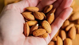 Shtat&euml; ushqime t&euml; zakonshme q&euml; shkenca i konsideron