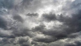 Sot vran&euml;sira t&euml; dendura, e reshje shiu!