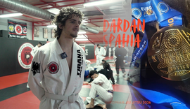 N&euml; mosh&euml;n 16-vje&ccedil;are, Dardani fitoi Europ&euml;n, por ajo