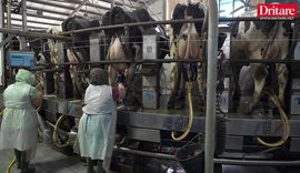 Si luftohet aflatoksina n&euml; fermat moderne shqiptare!