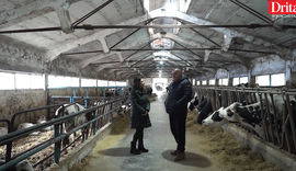 Fermeri n&euml; Vil&euml; Bashtov&euml;: Un&euml; kisha qum&euml;sht me