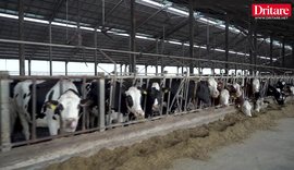 N&euml; ferm&euml;n me 1400 lop&euml; n&euml; Divjak&euml;!