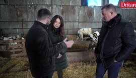 Fermer n&euml; kat&euml;r breza! Mos ma prekni qum&euml;shtin!