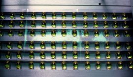 K&euml;to dy suplemente vitaminash m&euml; shum&euml; po ju d&euml;mtojn&euml;,