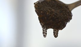 Farat chia, superushqimi i vog&euml;l me p&euml;rfitime t&euml; m&euml;dha