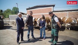 1000 lop&euml; dhe nj&euml; &euml;nd&euml;rr shqiptare. Historia e Besi Farmers