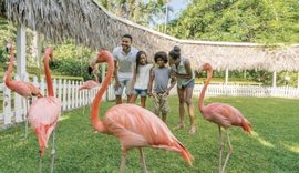 Rama: Flamingot mes paqes s&euml; Bahamasit dhe sherrit t&euml; Tiran&euml;s