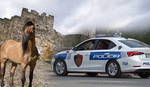 Shqipëria dhe vlera e jetës/ Ngjarjet që na tronditën dhe