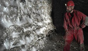 Zbulohet rrjeta më e madhe e merimangës në botë në