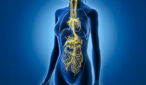 A mund të “stërvitet” nervi vagus? Sekreti i trupit