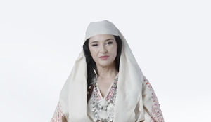 NY Times: Pse shumë vende do imitojnë Diellën