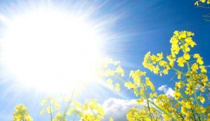 Ditë me diell por...! Parashikimi i motit për sot!