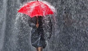 Dita nis dhe mbaron me shi!