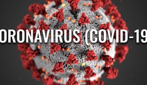 Hetimi mbi Covid-19! BBC: Çfarë tregojnë shënimet private