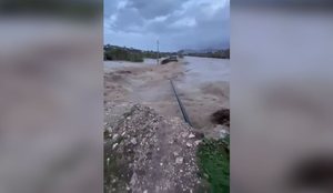 Përmbytje në jug të vendit, qindra hektarë nën ujë