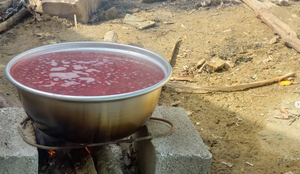 Rehania e thanës, thesari i vogël që ruan kujtesën e trojeve